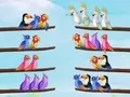 Permainan Teka Susunan Burung talian Permainan Teka Susunan Burung talian
