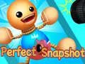 Permainan Snapshot Sempurna talian Permainan Snapshot Sempurna talian