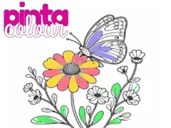 Permainan Pinta Warna talian