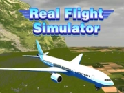 Permainan Simulator Penerbangan Sebenar talian