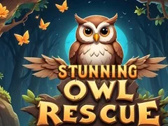 Permainan Penjagaan Burung Hantu yang Menakjubkan talian Permainan Penjagaan Burung Hantu yang Menakjubkan talian