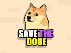 Permainan Simpan Doge talian