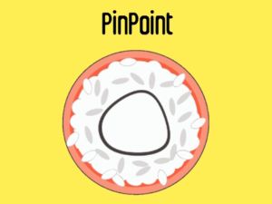 Permainan Pinpoint talian