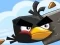 Permainan Burung Gila talian Permainan Burung Gila talian