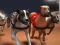 Permainan Lumba Anjing Greyhound talian