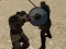 Permainan Simulasi Gladiator talian