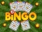 Permainan Bingo talian