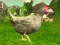 Permainan Penembak Ayam talian