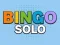 Permainan Bingo Solo talian