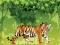 Permainan Mewarna Harimau Marah talian
