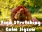 Permainan Teka-Teki Yoga Menghulurkan Tenang talian