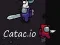 Permainan Catac.io talian