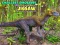 Permainan Teka-teki Dinosaur Terkecil talian