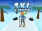 Permainan Ski Rush 3D talian