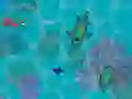 Permainan Sharkz.io talian