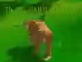 Permainan Simulator Harimau 3D talian