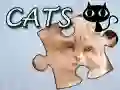 Permainan Teka Teki: Kucing talian Permainan Teka Teki: Kucing talian