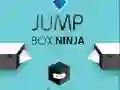 Permainan Ninja Kotak Melompat talian Permainan Ninja Kotak Melompat talian