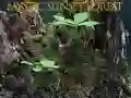 Permainan Hutan senja mistik talian
