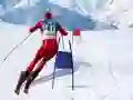 Permainan Simulasi Ski Slalom talian Permainan Simulasi Ski Slalom talian