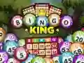 Permainan Raja Bingo talian Permainan Raja Bingo talian