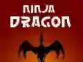 Permainan Naga Ninja talian Permainan Naga Ninja talian