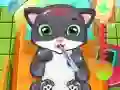 Permainan Doktor Kucing talian Permainan Doktor Kucing talian