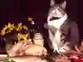 Permainan Teka-Teki Kucing Lucu talian