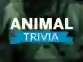 Permainan Trivia Hai talian Permainan Trivia Hai talian