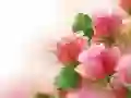 Permainan Rosa Merah Jambu talian Permainan Rosa Merah Jambu talian