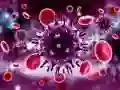 Permainan Teka Coronavirus talian Permainan Teka Coronavirus talian