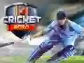 Permainan Kricket 2020 talian