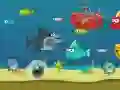 Permainan Ikan Yu Gila talian Permainan Ikan Yu Gila talian
