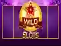 Permainan Slot Liar talian Permainan Slot Liar talian