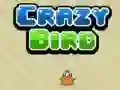 Permainan Burung Gila talian Permainan Burung Gila talian