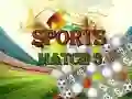 Permainan Perlawanan Sukan 3 Deluxe talian Permainan Perlawanan Sukan 3 Deluxe talian