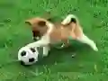 Permainan Teka-teki Anak Anjing Ceria di Luar talian Permainan Teka-teki Anak Anjing Ceria di Luar talian