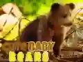 Permainan Beruang Bayi Comel talian Permainan Beruang Bayi Comel talian