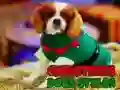 Permainan Gaya Anjing Krismas talian Permainan Gaya Anjing Krismas talian