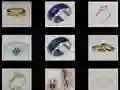 Permainan Ingatan Cincin talian Permainan Ingatan Cincin talian