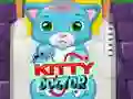 Permainan Doktor Kucing talian Permainan Doktor Kucing talian