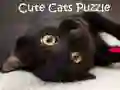 Permainan Teka-Teki Kucing Comel talian Permainan Teka-Teki Kucing Comel talian