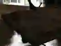 Permainan Drift Z talian Permainan Drift Z talian