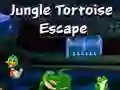 Permainan Melarikan Diri dari Kura-Kura Hutan talian