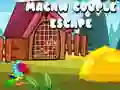 Permainan Pelarian Pasangan Macaw talian Permainan Pelarian Pasangan Macaw talian