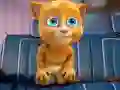 Permainan Teka-Teki Talking Tom dan Rakan-rakannya talian Permainan Teka-Teki Talking Tom dan Rakan-rakannya talian