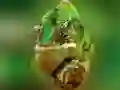 Permainan Puzzle Cameleon talian Permainan Puzzle Cameleon talian