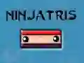Permainan Ninjatris talian