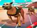 Permainan Lumba Anjing Gila talian