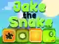 Permainan Jake Ular talian